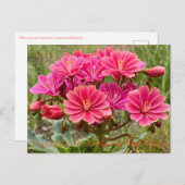 Glücklich California National Pflanze Week! Postka Postkarte (Vorne/Hinten)