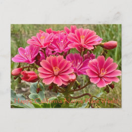 Glücklich California National Pflanze Week! Postka Postkarte