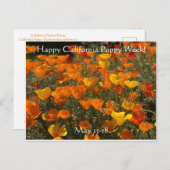Glücklich California Poppy Week! Postkarte (Vorne/Hinten)