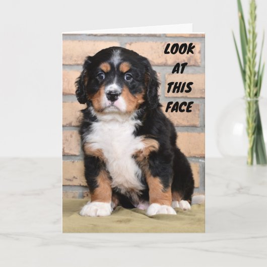 "GLÜCKLICH DANKSGEBEN IHNEN", SAGTE DOT KARTE (Vorderseite)