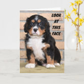 "GLÜCKLICH DANKSGEBEN IHNEN", SAGTE DOT KARTE (Gelbe Blume)