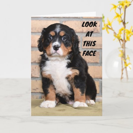 "GLÜCKLICH DANKSGEBEN IHNEN", SAGTE DOT KARTE (Gelbe Blume)