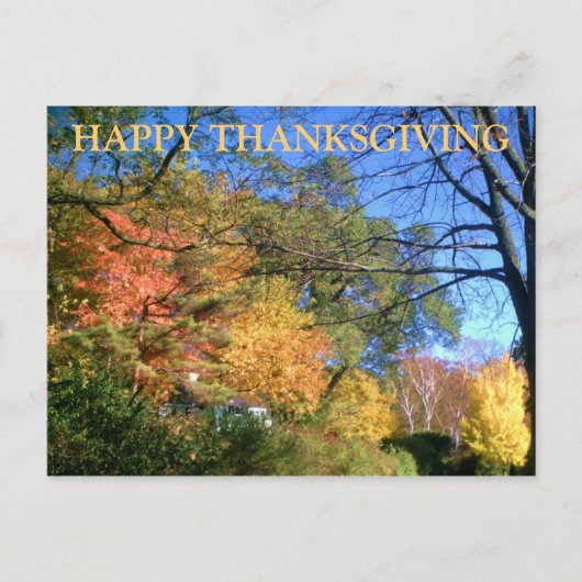GLÜCKLICH DANKSGIVING FALL Postkarte (Vorderseite)