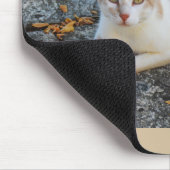 Glücklich die schöne Katze Mousepad (Ecke)