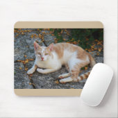 Glücklich die schöne Katze Mousepad (Mit Mouse)