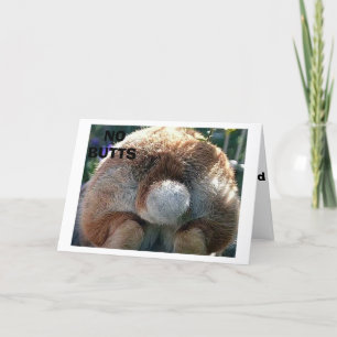 GLÜCKLICH EINFACH/ES GIBT KEINE HINTERN ÜBER DIESE FEIERTAGSKARTE