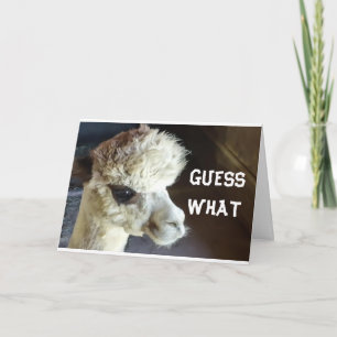 GLÜCKLICH *ERNTEDANK* SAY LLAMA KARTE