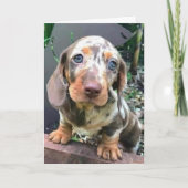 ***GLÜCKLICH FÜR SIE***/**FEHLT AUCH SIE*** KARTE (Vorderseite)