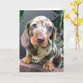 ***GLÜCKLICH FÜR SIE***/**FEHLT AUCH SIE*** KARTE (Gelbe Blume)