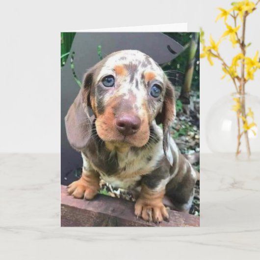 ***GLÜCKLICH FÜR SIE***/**FEHLT AUCH SIE*** KARTE (Gelbe Blume)