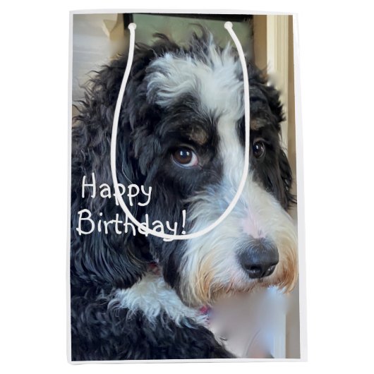Glücklich Geburtstag Adorable Bernedoodle Mittlere Geschenktüte (Vorderseite)