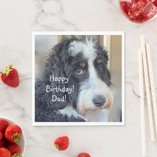 Glücklich Geburtstag Adorable Bernedoodle Serviette (Beispiel)