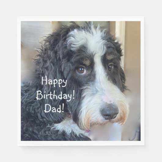 Glücklich Geburtstag Adorable Bernedoodle Serviette (Vorderseite)