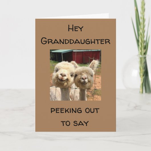 GLÜCKLICH *GEBURTSTAG* **GRANDDAUGHTER** KARTE (Vorderseite)