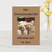 GLÜCKLICH *GEBURTSTAG* **GRANDDAUGHTER** KARTE (Gelbe Blume)