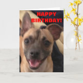 GLÜCKLICH GEBURTSTAG! KARTE (Gelbe Blume)