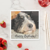 Glücklich Geburtstag Niedlich Bernedoodle Serviette (Beispiel)