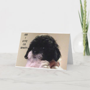 GLÜCKLICH "GEBURTSTAG" VON NIEDLICH SHIH TZU PUP KARTE