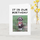 GLÜCKLICH "GEGENSEITIG BIRTHTAG" KARTE (Gelbe Blume)