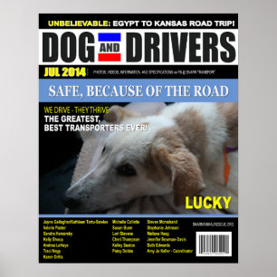 Glücklich - Hund und Fahrer Poster