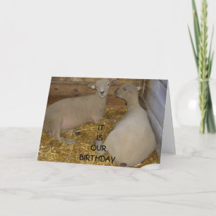 GLÜCKLICH IST ES "UNSER" GEBURTSTAG KARTE