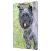 glücklich klemmbrett (Links)