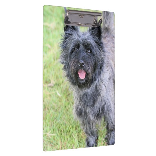 glücklich klemmbrett (Rechts)