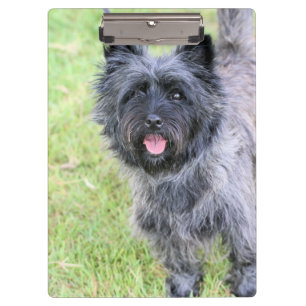 glücklich klemmbrett