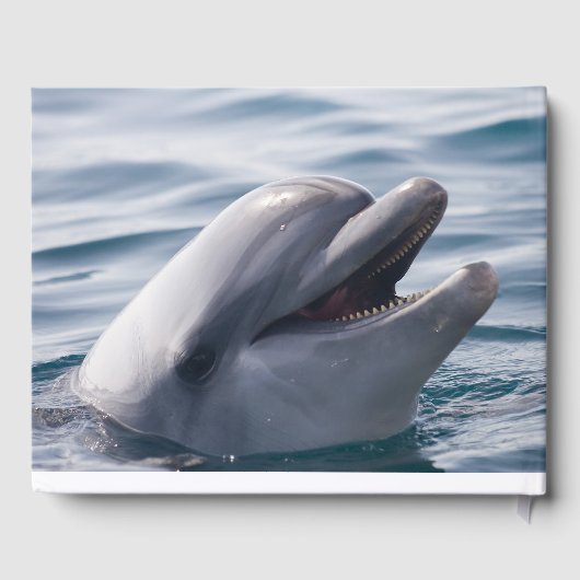 Glücklich lächelnd Dolphin im Wasser Gästebuch (Rückseite)