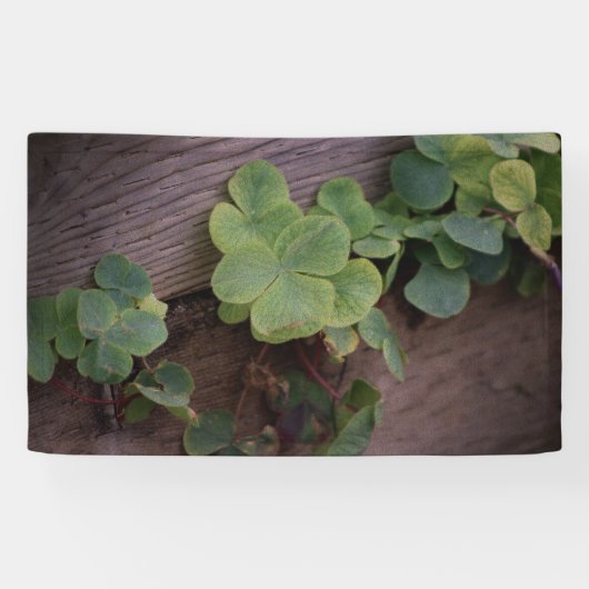Glücklich oder bestimmt? St. Patricks Day-Kleeblät Banner (Horizontal)