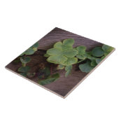 Glücklich oder bestimmt? St. Patricks Day-Kleeblät Fliese (Seite)