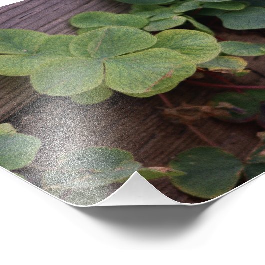 Glücklich oder bestimmt? St. Patricks Day-Kleeblät Fotodruck (Ecke)