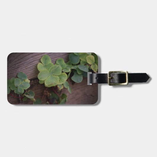 Glücklich oder bestimmt? St. Patricks Day-Kleeblät Gepäckanhänger (Vorderseite horizontal)