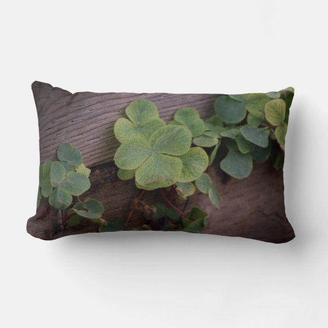 Glücklich oder bestimmt? St. Patricks Day-Kleeblät Lendenkissen (Vorderseite)