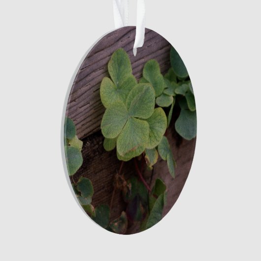 Glücklich oder bestimmt? St. Patricks Day-Kleeblät Ornament (Vorderseite)