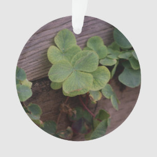 Glücklich oder bestimmt? St. Patricks Day-Kleeblät Ornament