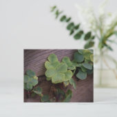 Glücklich oder bestimmt? St. Patricks Day-Kleeblät Postkarte (Stehend Vorderseite)