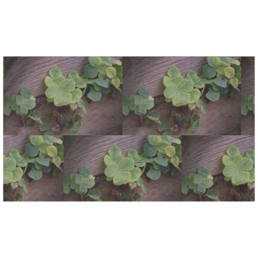 Glücklich oder bestimmt? St. Patricks Day-Kleeblät Tischdecke (Vorderseite (Horizontal))
