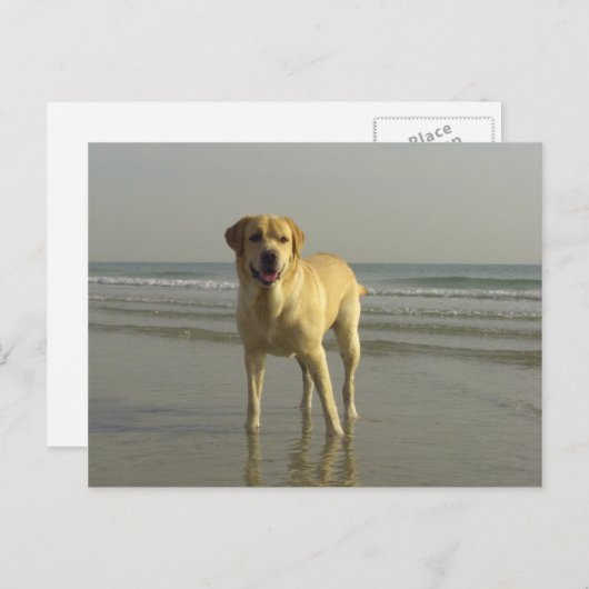 glücklich postkarte (Vorne/Hinten)