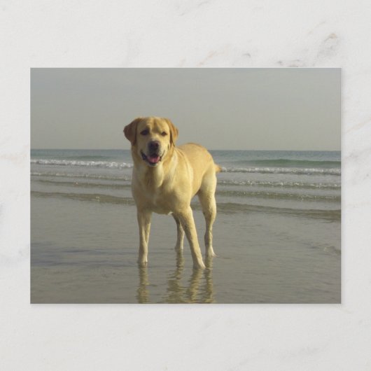 glücklich postkarte (Vorderseite)