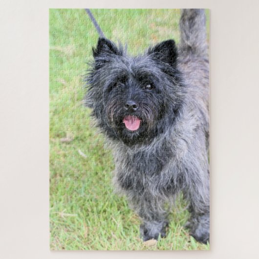 glücklich puzzle (Vertikal)