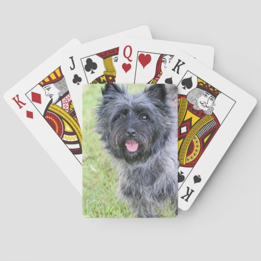 glücklich spielkarten (Rückseite)