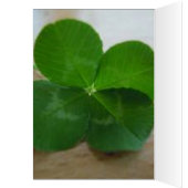 GLÜCKLICH ST. PATRICKS DAY (Innen (Links))