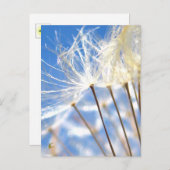 Glücklich, tanzend, Kronleuchter, Geschichten in d Postkarte (Vorne/Hinten)