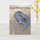 Glücklich und glücklich Geburtstag: Karte mit Hufe (Gelbe Blume)