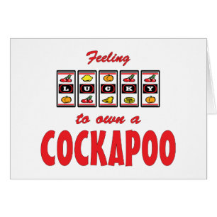 Glücklich zu eigenem ein Cockapoo