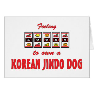 Glücklich zu eigenem ein koreanischer Jindo