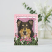 Glücklich zum Geburtstag - Collie - Caroline Postkarte (Stehend Vorderseite)