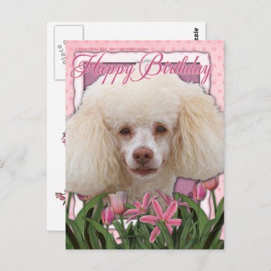 Glücklich zum Geburtstag - Poodle Postkarte (Vorne/Hinten)