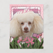 Glücklich zum Geburtstag - Poodle Postkarte (Vorderseite)